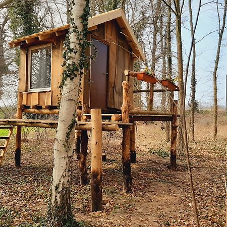 Baumhausnaechte Hotell Ladbergen Exteriör bild
