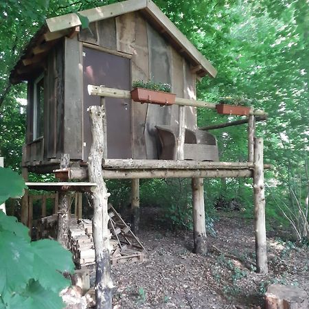 Baumhausnaechte Hotell Ladbergen Exteriör bild