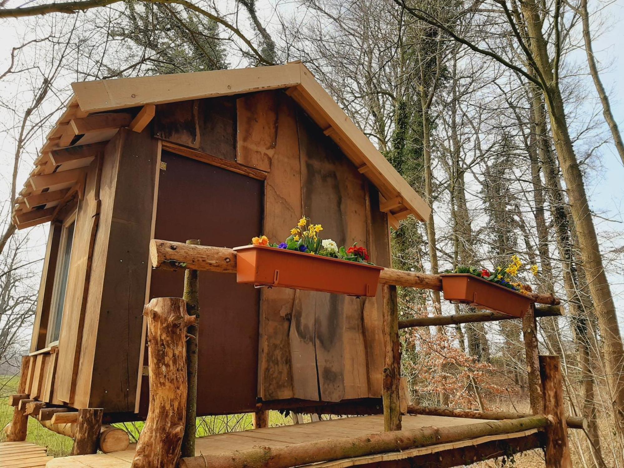 Baumhausnaechte Hotell Ladbergen Exteriör bild