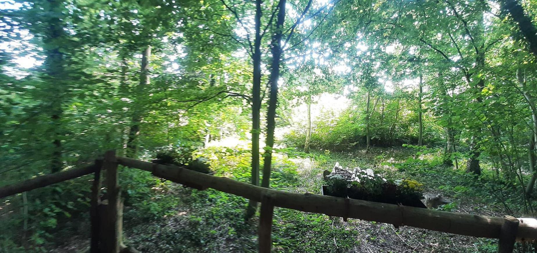 Baumhausnaechte Hotell Ladbergen Exteriör bild