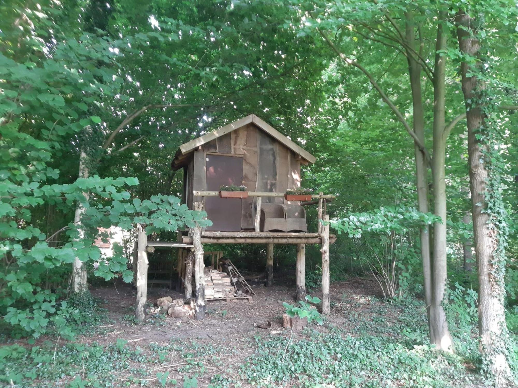 Baumhausnaechte Hotell Ladbergen Exteriör bild
