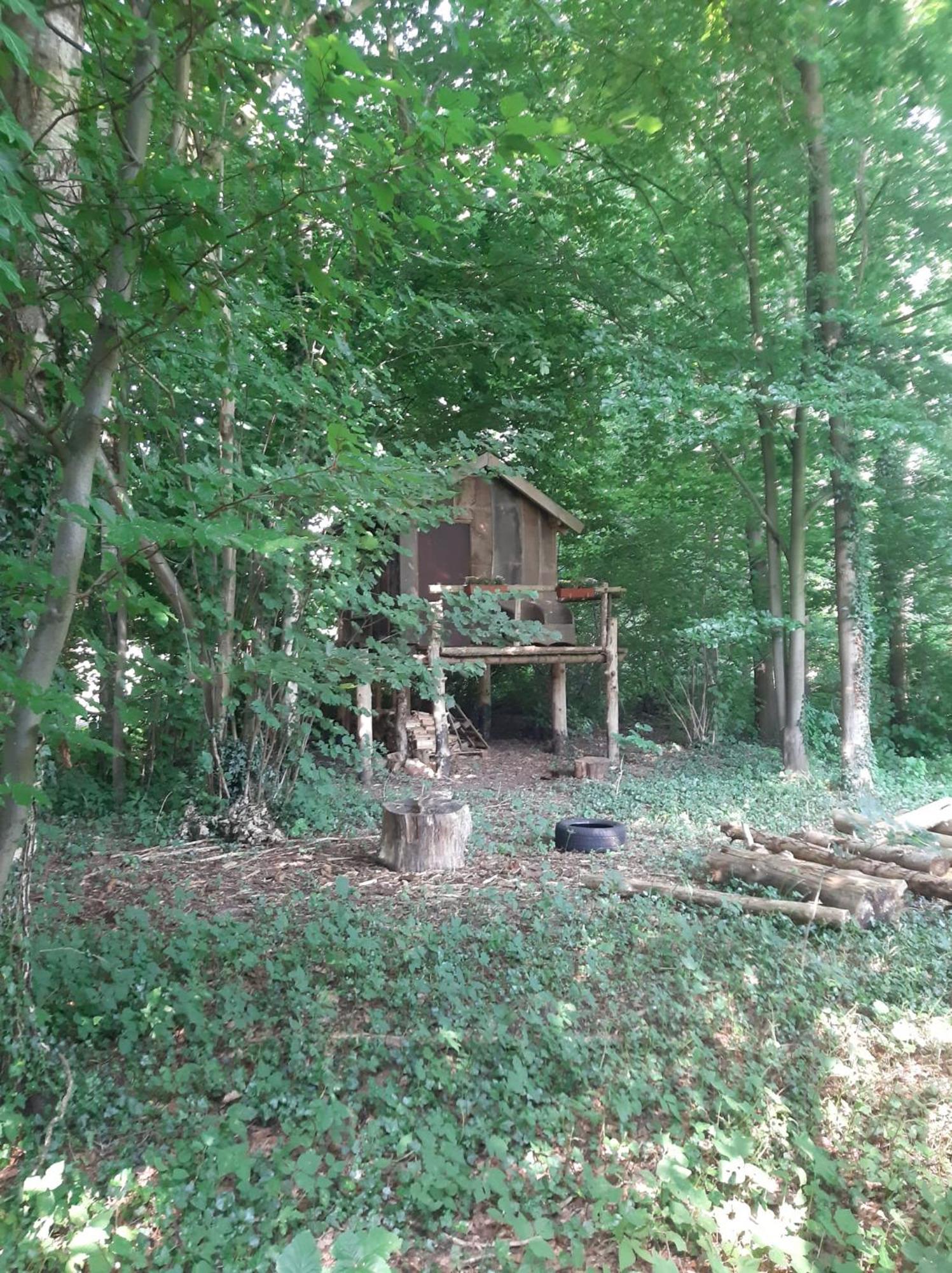 Baumhausnaechte Hotell Ladbergen Exteriör bild